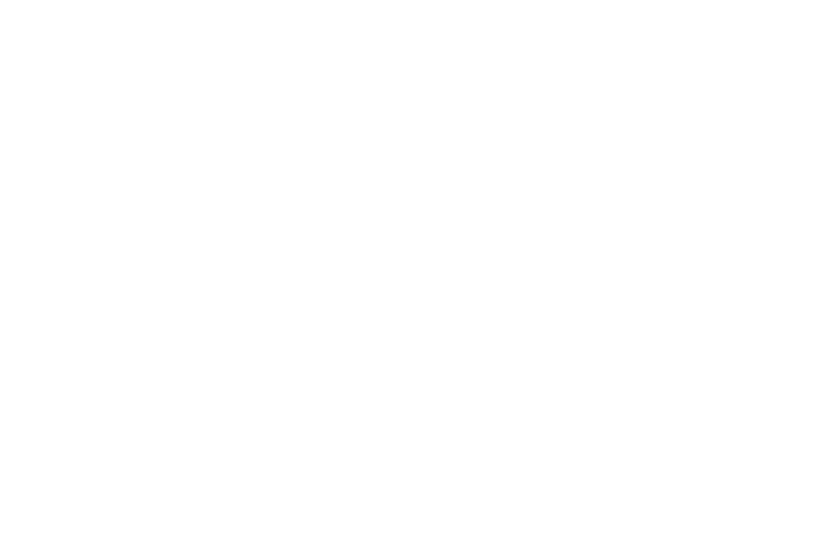 minisend logo